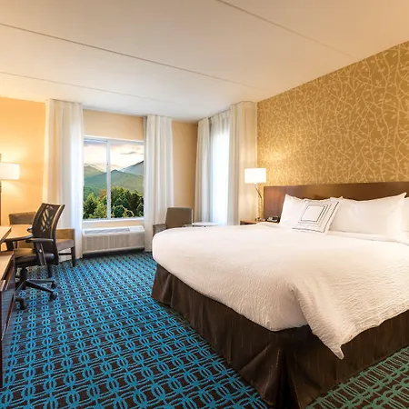 Fairfield Inn & Suites By Marriott Asheville Tunnel Road-3
